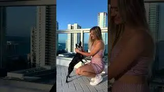 Addicted to this: #shorts #streamer #views #miami #miamibeach #bostonterrier #dog #outfit #fashion