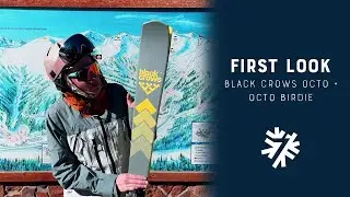 2024-2025 Black Crows Octo Quick Review | Powder7