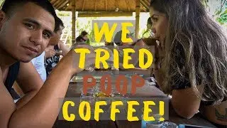 We Visit Ubud Monkey Forest, Bali Swing & Satria Coffee Plantation in Bali!
