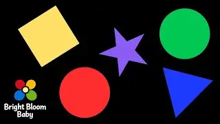 High Contrast Baby Sensory | Calm Shapes & Colors | Bright Bloom Baby