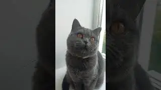 на самом деле 😉