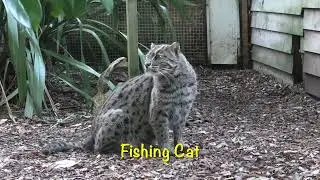 Axe Valley Wildlife Park (26th October 2024)