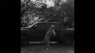 $UICIDEBOY$ 