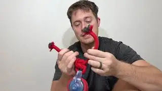 BENTOPAL Dog Toys Interactive Dogs Ball with Super High Speed Rechargeable Dog Toy Ball Review