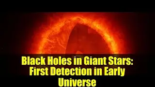 Agujeros negros en estrellas gigantes: primera detecci&oacute;n en el universo temprano