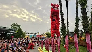 2025 lion dance at Sentosa