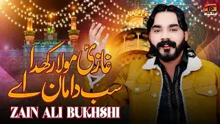Ghazi Mola Rakhda Sab Da Maan Ay | Zain Ali Bukhshi | TP Manqabat