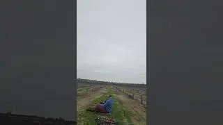 16 de enero de 2026