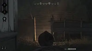 Ambush 2