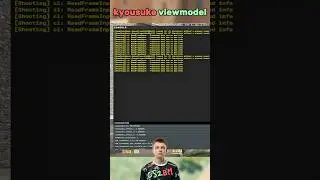 Актуальный viewmodel Бакина #kyousuke #m0nesy #cs2 #settings #donk #s1mple #csgo