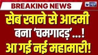 Nipah Virus Case In India Live: आई ऐसी बीमारी जिसका कोई इलाज नहीं... | Breaking | India News