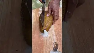 ocean cocumbar #fruit #fish #food #foryou #ytshorts #shortsfeed #vegetables #shorts #sea #trending
