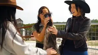 Maya, Poki, Aria, and Hyoon meet Stompy at Alveus