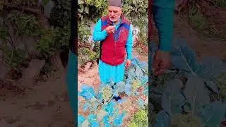 Family vlogs fun and comedy #funny #familyvlogs #familytime #familytime #familyfun