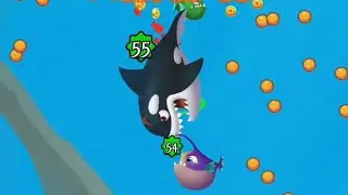 Fish Evolution🐟👑🐠🐳 #eatfish #fisheater #fishevolution #fullgameplay@FishgamesFishDom24 