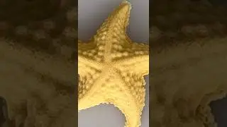 Sand star ⭐️ #asmr #satisfying #sandart #art