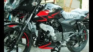 New 2019 Bajaj Pulsar 150 Twin Disc C&G Model Review || Racing Boy