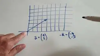 Scalar and Vector