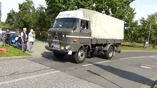IFA Treffen Ludwigsfelde 2023 IFA W 50 mit Pritsche und Plane f&auml;hrt zum Veranstaltungsgel&auml;nde