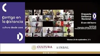 El Son del Burro | Secci&oacute;n de violines segundos de la OSN | Mariachi 2000 de Cutberto P&eacute;rez