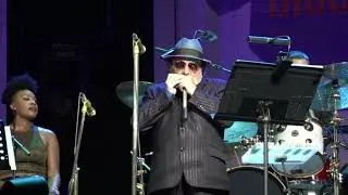 Van Morrison - Medley | HIBF - Grolloo | 14/6/2019