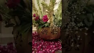#video Best wedding planning decoration ideas||song #viralvideo #shortvideo #wedding #vlogger #myvi