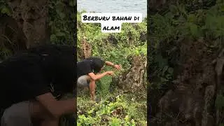 Berburu bahan bonsai di alam, ingat jangan ambil berlebihan yaa