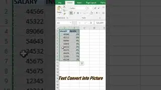 Data Convert To Picture in excel || text Convert to pic in excel #shorts