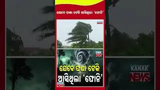 ଯେବେ ଫଣା ଟେକି ଆସିଥିଲା &lsquo;ଫୋନି&rsquo;...The Storm That Shook Odisha | Cyclone Fani 2019