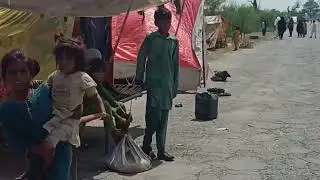Fresh updates about  flood  jhang(River Chenab)