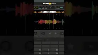 The REAL SECRETS To Making Samples For GRISELDA #westsidegunn