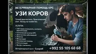 19 января 2026 г.