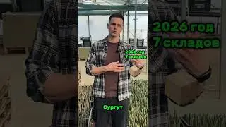 Тюльпаны оптом с доставкой по всей России 🌷🚗 наш tgk:yes_tulpan