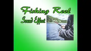 Fishing Reel Sound Effect I Fishing I Sea I Sound Effect I (Link in the description)