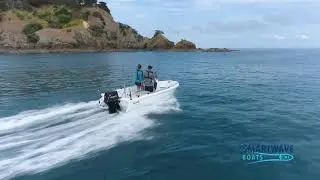 SmartWave: SW4200 Model