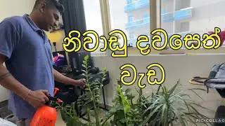 නිවාඩු දවසෙ තමයි ඔක්කොම වැඩ | day off in dubai life