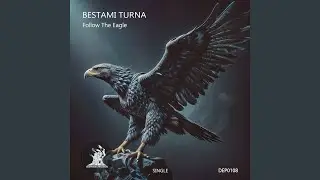 Follow the Eagle (Original Mix)