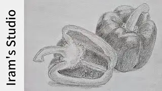 How to draw Bell Pepper step by step : Pencil sketch