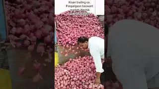 Nashik Onion Rate#onion #maharashtra#nashik#todayonionrate #market #vegetable#shetkari_raja #export