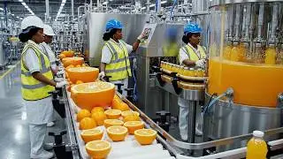 How Orange Juice Is Made in Factory | Step by Step Manufacturing Process
