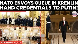 WATCH: NATO Envoys Line Up In Kremlin; Hand Credentials to Putin, Seek Dialogue| Times Now World