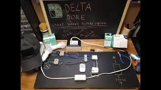 DELTA DORE Domotica facile secondo mike dalla A alla Z# relè smart