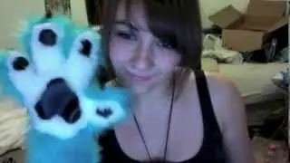 Tutone Handpaws