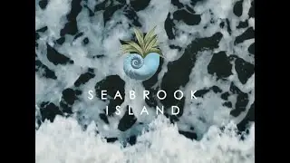DISCOVER SEABROOK ISLAND, SOUTH CAROLINA: Unveiling Exclusive Amenities in Paradise