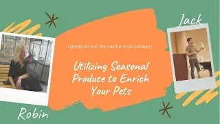 Utilizing Seasonal Produce to Enrich Your Pets