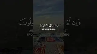 Sheikh Maher al Muaiqly amazing Qur'an recitation with english translation