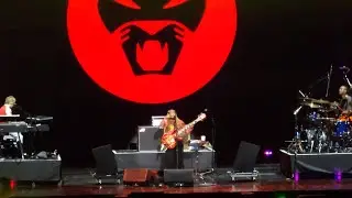 [4K] Thundercat - Funny Thing | 라이브 LIVE | 서재페