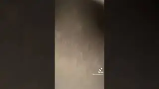 Aussie teens on to much alcohol on a farm house