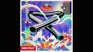 Niv Ast & Laroz - Do You Have it All (Original Mix) [Sincopat]