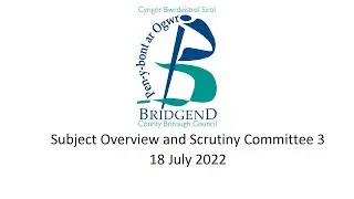 Subject Overview and Scrutiny Committee 3 - 18 July 2022